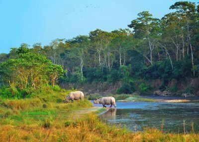Chitwan National Park Elephant Safari